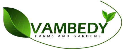 Vambedy Farms